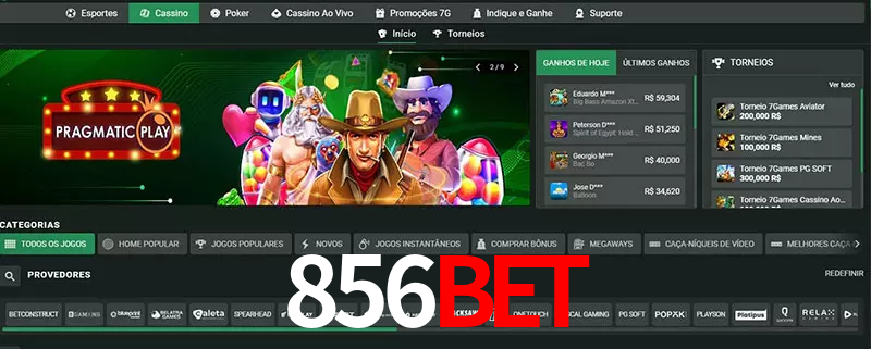 cassino 856bet