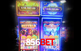 856bet