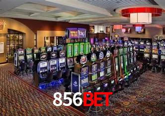 Recursos de Bônus 856bet