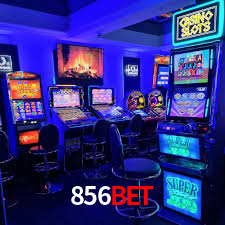 Sinta a adrenalina dos jogos de cassino com 856bet