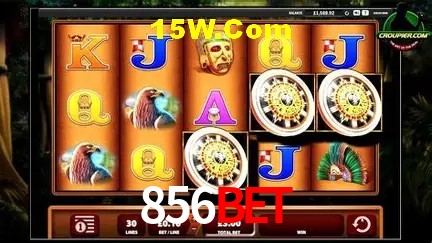 856bet Salvador - Statistics