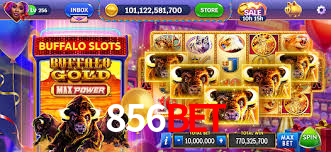 Statistics 856bet