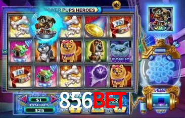 856bet São Paulo - Top Slots