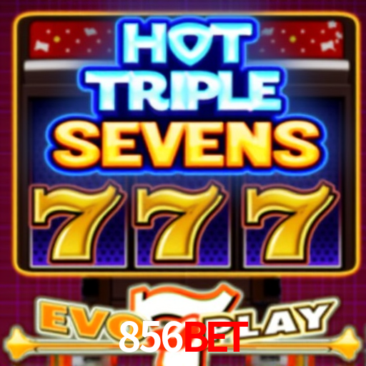 856bet Rio de Janeiro - Professional Dealers