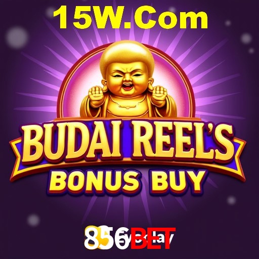 A Experiência Imersiva dos Cassinos Ao Vivo no 856bet