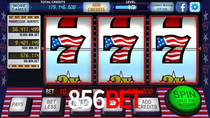 856bet Salvador - Statistics