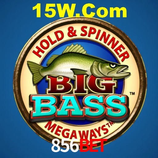 A Experiência Imersiva dos Cassinos Ao Vivo no 856bet